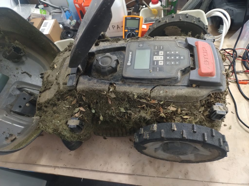 IMG 20250611 072432615