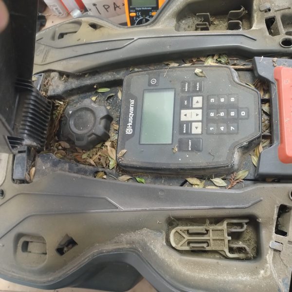 IMG_20250611_072208200