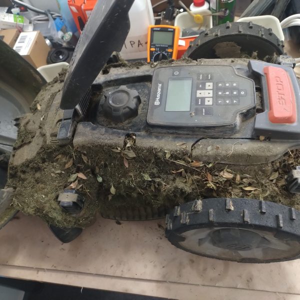 IMG_20250611_072432615