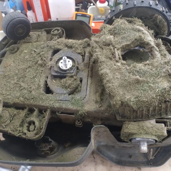 IMG_20250611_073255401